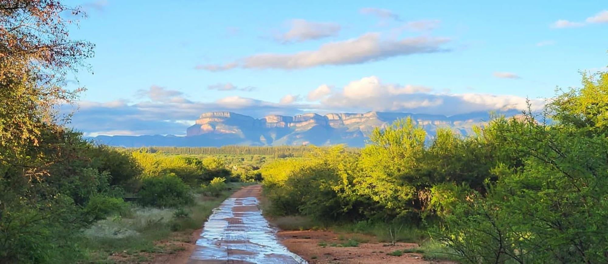 Villa Lanterfant - Luxury Stay In Nature - Solar Powered Hoedspruit Buitenkant foto
