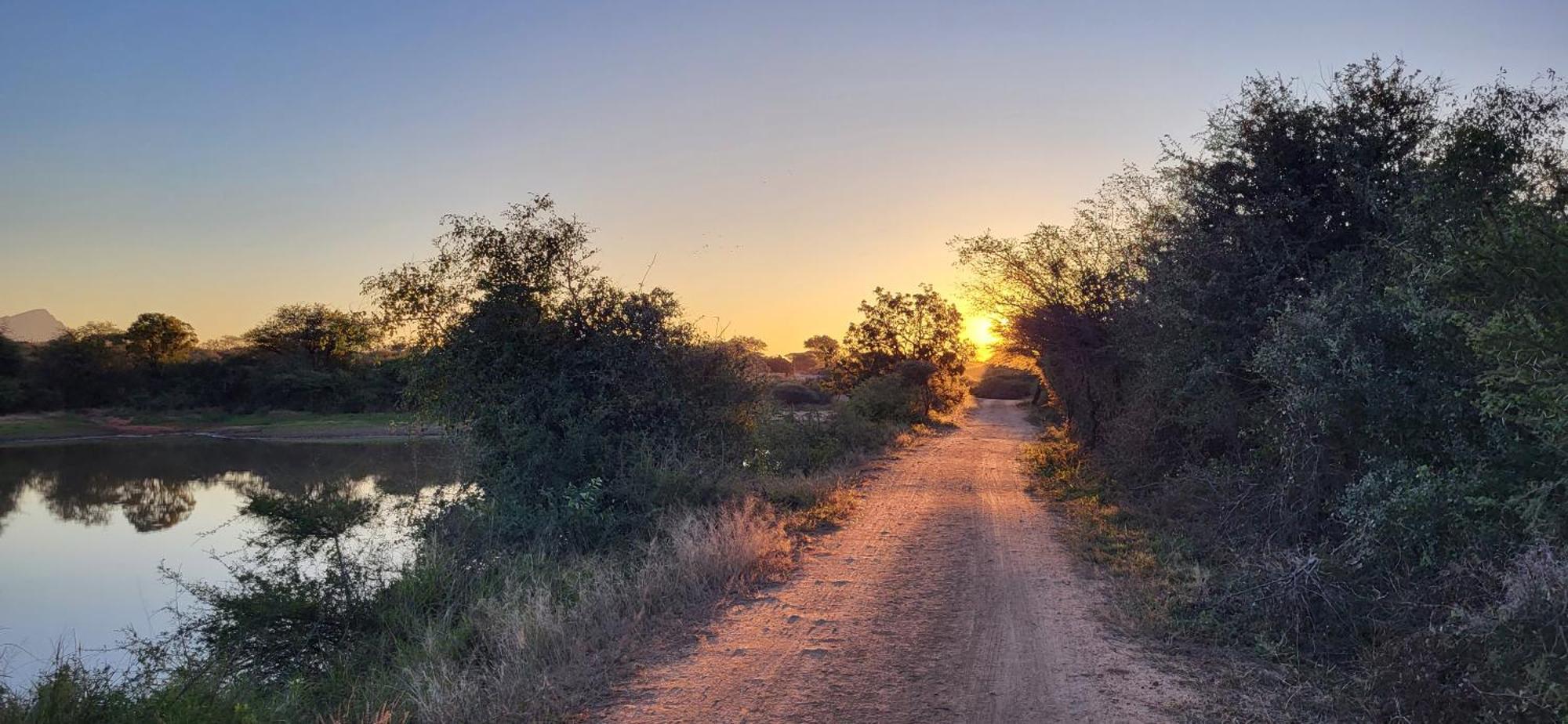 Villa Lanterfant - Luxury Stay In Nature - Solar Powered Hoedspruit Buitenkant foto
